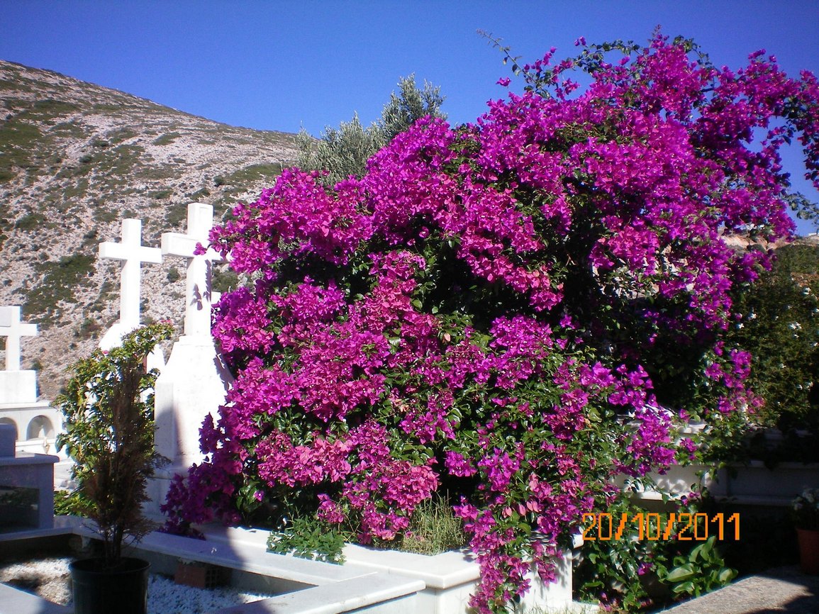 Urlaub Naxos 2011 105.jpg